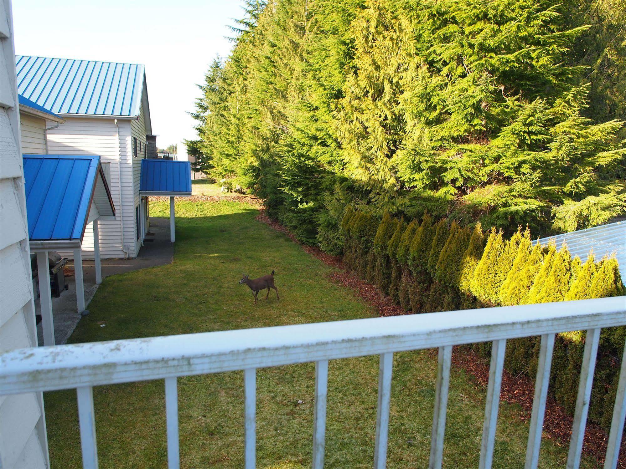 Whale'S Tail Guest Suites Ucluelet Exteriér fotografie